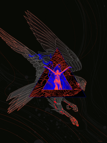 BIRD OF PREY - Art Print